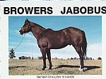 Browers Jabobus